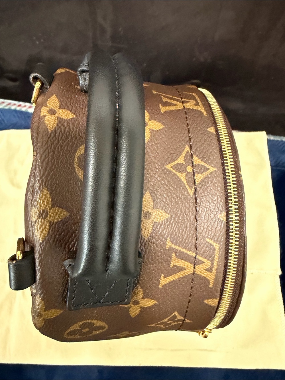 Louis Vuitton Palm Springs Mini Monogram - Picture 9 of 14